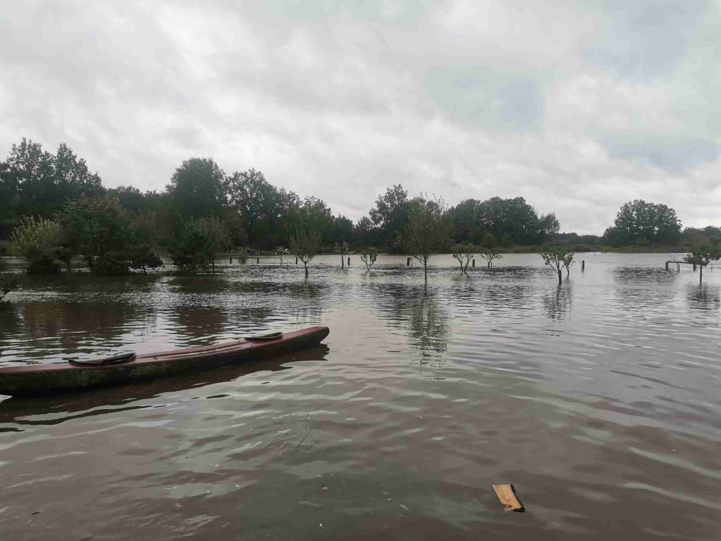 ceska-krajina-meandry-luznice-zaplavy-povoden-velka-voda-divokyi-kun.jpg